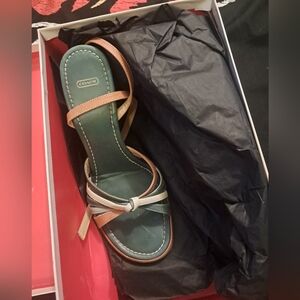 Coach Blue Wedged Heels